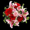fleurs et nature (19)
